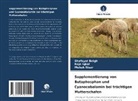 Shafayat Beigh, Raja Iqbal, Mehak Nisar - Supplementierung von Butaphosphan und Cyanocobalamin bei trächtigen Mutterschafen