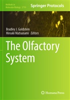 Bradley J. Goldstein, Bradley J Goldstein, Matsunami, Hiroaki Matsunami - The Olfactory System