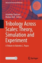 Hess, Markus Heß, Jasminka Starcevic, Jasminka Starčević - Tribology Across Scales: Theory, Simulation and Experiment
