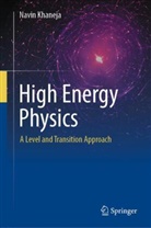 Navin Khaneja - High Energy Physics