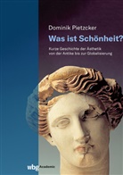 Dominik Pietzcker - Was ist Schönheit?