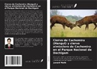 Junaid Malik - Ciervo de Cachemira (Hangul) y ciervo almizclero de Cachemira en el Parque Nacional de Dachigam