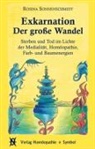 Rosina Sonnenschmidt - Exkarnation - Der große Wandel