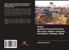 Olatunde Salami - Étude paléoenvironnementale des grès silteux exposés, Formation d'Enagi, Bida
