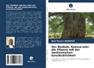 Boko Pascal Akabassi - Der Baobab, Kpassa oder die Pflanze mit der medizinischen Geschicklichkeit