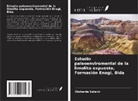 Olatunde Salami - Estudio paleoenviromental de la limolita expuesta, Formación Enagi, Bida