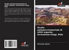 Olatunde Salami - Studio paleoenviromentale di siltiti esposte, formazione Enagi, Bida