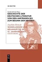 Joachim Heinzle, Joachim Heinzle - Geschichte der deutschen Literatur von den Anfängen bis zum Beginn der Neuzeit. Vom hohen zum späten Mittelalter - Band II. Teil 2: Wandlungen und Neuansätze im 13. Jahrhundert