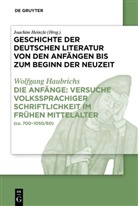 Wolfgang Haubrichs, Joachim Heinzle - Geschichte der deutschen Literatur von den Anfängen bis zum Beginn der Neuzeit. Von den Anfängen bis zum hohen Mittelalter - Band I. Teil I: Die Anfänge: Versuche volkssprachiger Schriftlichkeit im frühen Mittelalter