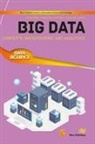 Carlos Costa, Maribel Yasmina Santos - Big Data