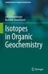 Branimir Jovan¿i¿evi¿, Branimir Jovancicevic, Jan Schwarzbauer - Isotopes in Organic Geochemistry