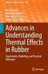 Gert Heinrich, Reinhold Kipscholl, Jean-Benoît Le Cam, Jean-Benoît Le Cam et al, Radek Sto¿ek, Radek Stocek - Advances in Understanding Thermal Effects in Rubber