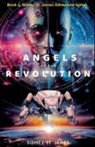Sidney St. James - Angels of the Revolution