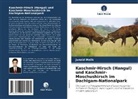 Junaid Malik - Kaschmir-Hirsch (Hangul) und Kaschmir-Moschushirsch im Dachigam-Nationalpark