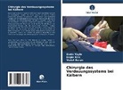 Vedat Baran, Engin Kilic, Sad¿k Yayla, Sadik Yayla - Chirurgie des Verdauungssystems bei Kälbern