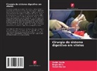 Vedat Baran, Engin Kilic, Sad¿k Yayla, Sadik Yayla - Cirurgia do sistema digestivo em vitelos