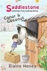 Elaine Heney - Saddlestone Connemara Pony Listening School | Conor and Coconut - Dyslexia Friendly