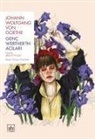 Johann Wolfgang von Goethe - Genc Wertherin Acilari