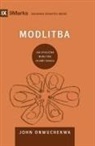 John Onwuchekwa - Prayer / Modlitba