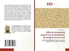 Jacques Sawadogo - Effet du phosphate naturel sur la production du sorgho et sur le sol