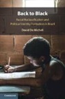 David De Micheli, David (University of Utah) De Micheli - Back to Black