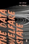 Anne Kaun, Anne Masso Kaun, Kaun Anne, Anu Masso - Data Welfare State