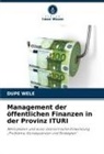 Dupe Wele - Management der öffentlichen Finanzen in der Provinz ITURI