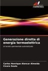 Carlos Henrique Alencar Almeida, Cicero Souto - Generazione diretta di energia termoelettrica