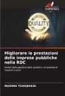 Mudimu Tshisekedi - Migliorare le prestazioni delle imprese pubbliche nella RDC