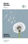 David Kessler - Anlam Bulmak - Yasin Altinci Asamasi