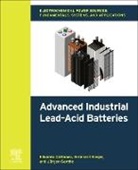 Cattaneo Eduardo, Jürgen Garche, Riegel Bernhard - Electrochemical Power Sources: Fundamentals, Systems, and Applications