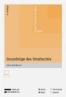 Alois Birklbauer - Grundzüge des Strafrechts