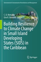 Erin R. Bennett, C D Metcalfe, C. D. Metcalfe, R Bennett - Building Resilience to Climate Change in Small Island Developing States (SIDS) in the Caribbean