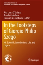 Rosella Castellano, Rita Laura D'Ecclesia, Giovanni M Zambruno, Giovanni M. Zambruno - In the Footsteps of Giorgio Philip Szegö