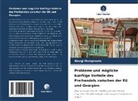 Giorgi Mamphoria - Probleme und mögliche künftige Vorteile des Freihandels zwischen der EU und Georgien