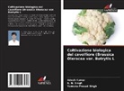 Adesh Kumar, B. N. Singh, Yamuna Prasad Singh - Coltivazione biologica del cavolfiore (Brassica Oleracea var. Botrytis L