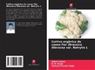 Adesh Kumar, B. N. Singh, Yamuna Prasad Singh - Cultivo orgânico de couve-flor (Brassica Oleracea var. Botrytis L