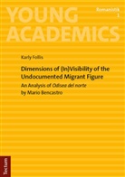 Karly Follis - Dimensions of (In)Visibility of the Undocumented Migrant Figure