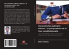 Elder Ordoñez - Une protection judiciaire efficace : la jurisprudence de la Cour constitutionnelle