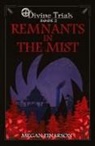 Megan Einarson - Remnants in the Mist