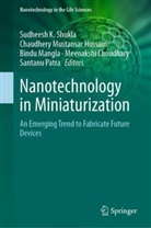 Meenakshi Choudhary, Chaudhery Mustansar Hussain, Bindu Mangla, Bindu Mangla et al, Chaudhery Mustansar Hussain, Santanu Patra... - Nanotechnology in Miniaturization