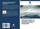 Evgeny Shnyukov - Schlammvulkane im Schwarzen Meer als Suchkriterium für Gashydrate