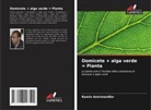 Ramin Amirmardfar - Oomicete + alga verde = Pianta