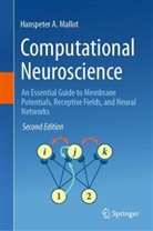 Hanspeter A Mallot, Hanspeter A. Mallot - Computational Neuroscience