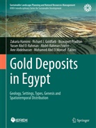 Yasser Abd El-Rahman, Amr Abdelnasser, Mohamed Abd El Monsef, Abdel-Rahman Fowler, Abdulrahman Fowler, Richard J. Goldfarb... - Gold Deposits in Egypt