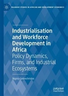 Nigisty Gebrechristos - Industrialisation and Workforce Development in Africa
