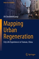 Ali Cheshmehzangi - Mapping Urban Regeneration
