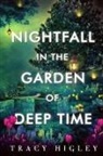 Tracy Higley - Nightfall in the Garden of Deep Time