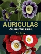 Paul Dorey, Dorey Paul - Auriculas an Essential Guide