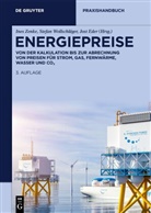 Jost Eder, Stefan Wollschläger, Ines Zenke - Energiepreise